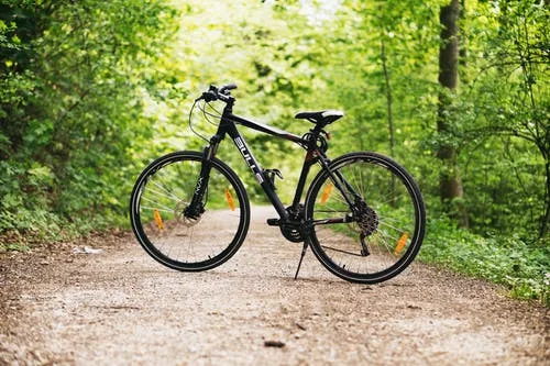 forest Bike Bull
